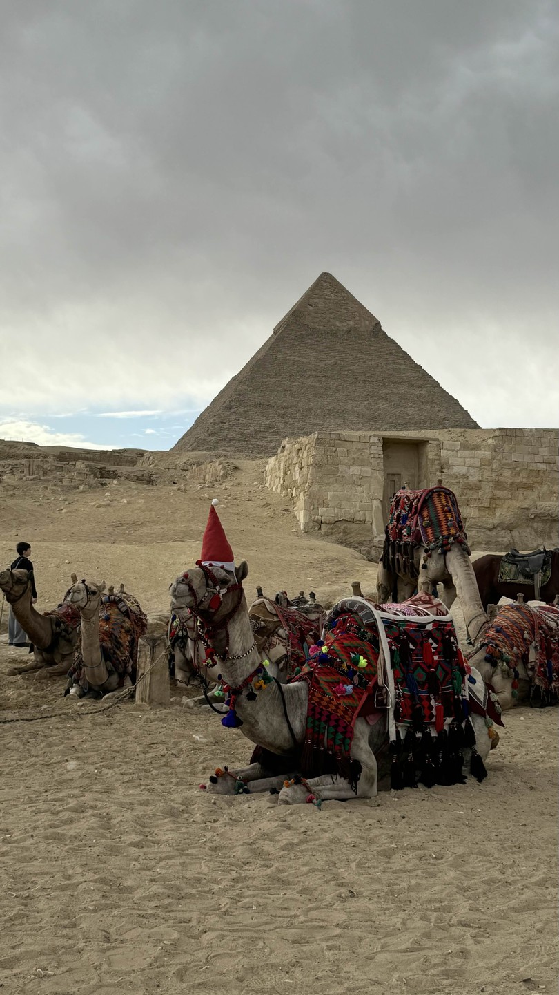 Экскурсия прошла великолепно! Экскурсовод Махмуд невероятно «клиентоориентирован», учтив и вежлив. Экскурсию ведёт спокойно, уверенно и не