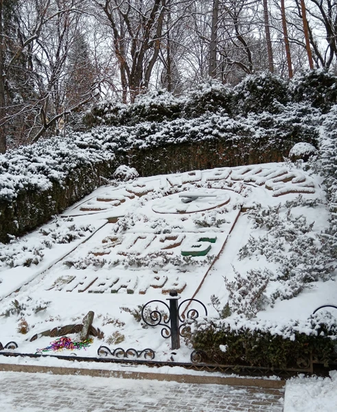 Благодарим нашего экскурсовода Ирину за приятно проведённое время. Лёгкий и доступный формат экскурсии, не спешная прогулка