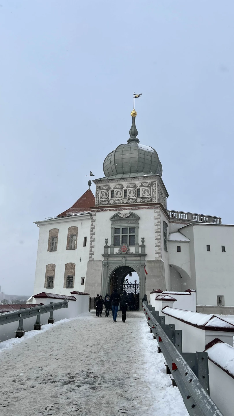 Отличная экскурсионная программа! Советую. Понравилось в католическом соборе и на концерте органной музыки. Интересно было на экскурсии