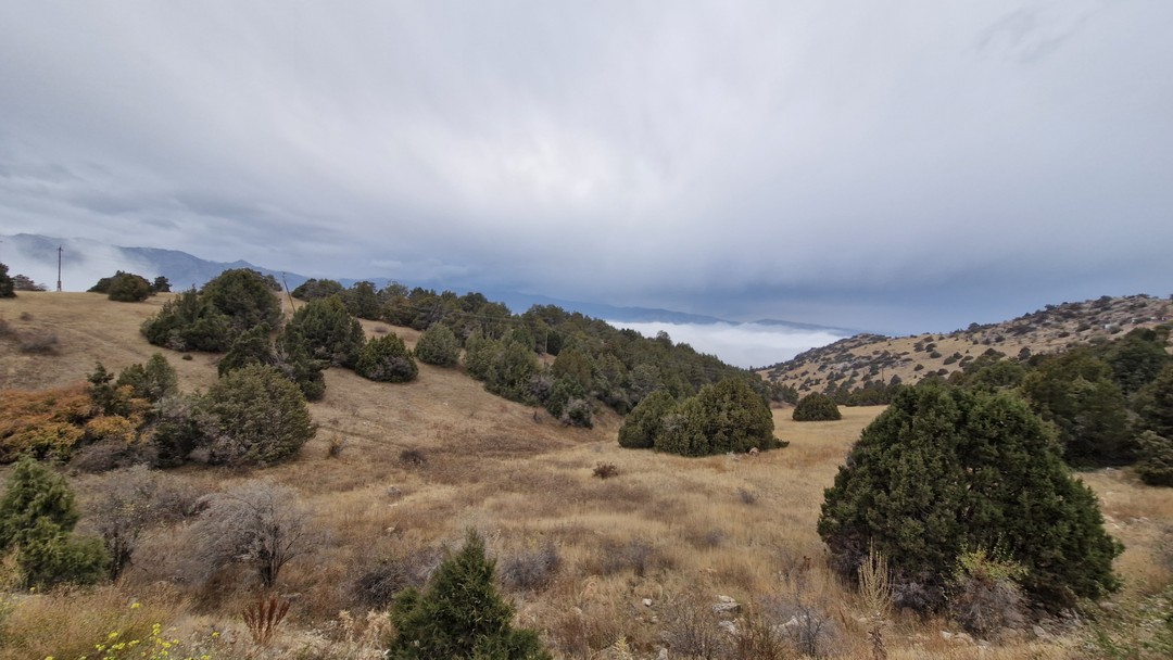 Были в Заамине 14 октября. Увлекательная поездка получилась. Жахонгир забрал рано утром нас из отеля и