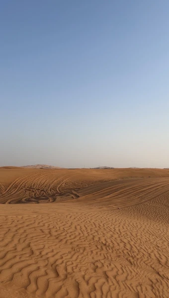 Экскурсия организована на высшем уровне