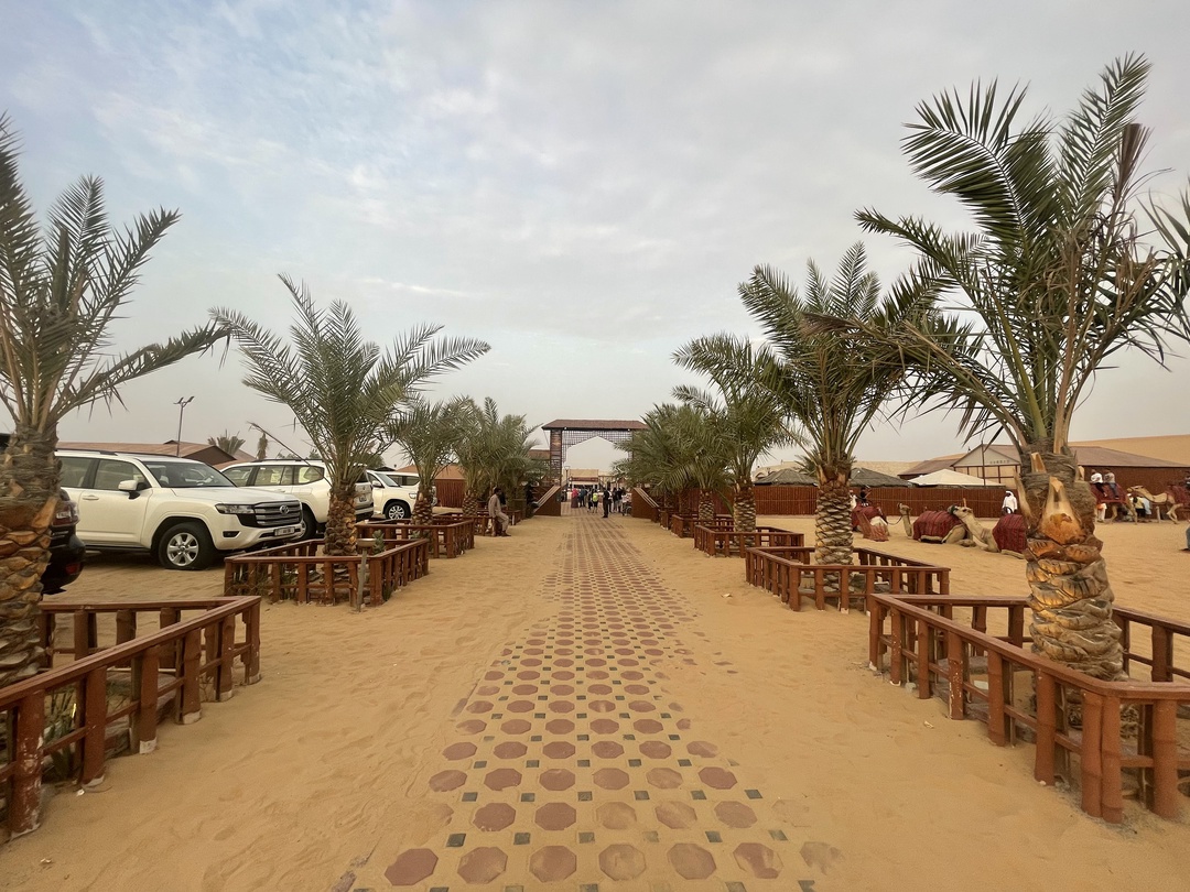 Индивидуальное сафари по дубайским дюнам (Катя)