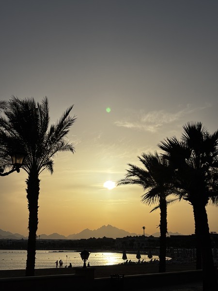 Замечательная прогулка с гидом Екатериной! Красивая локация, успели застать как светлое время суток, так и закат