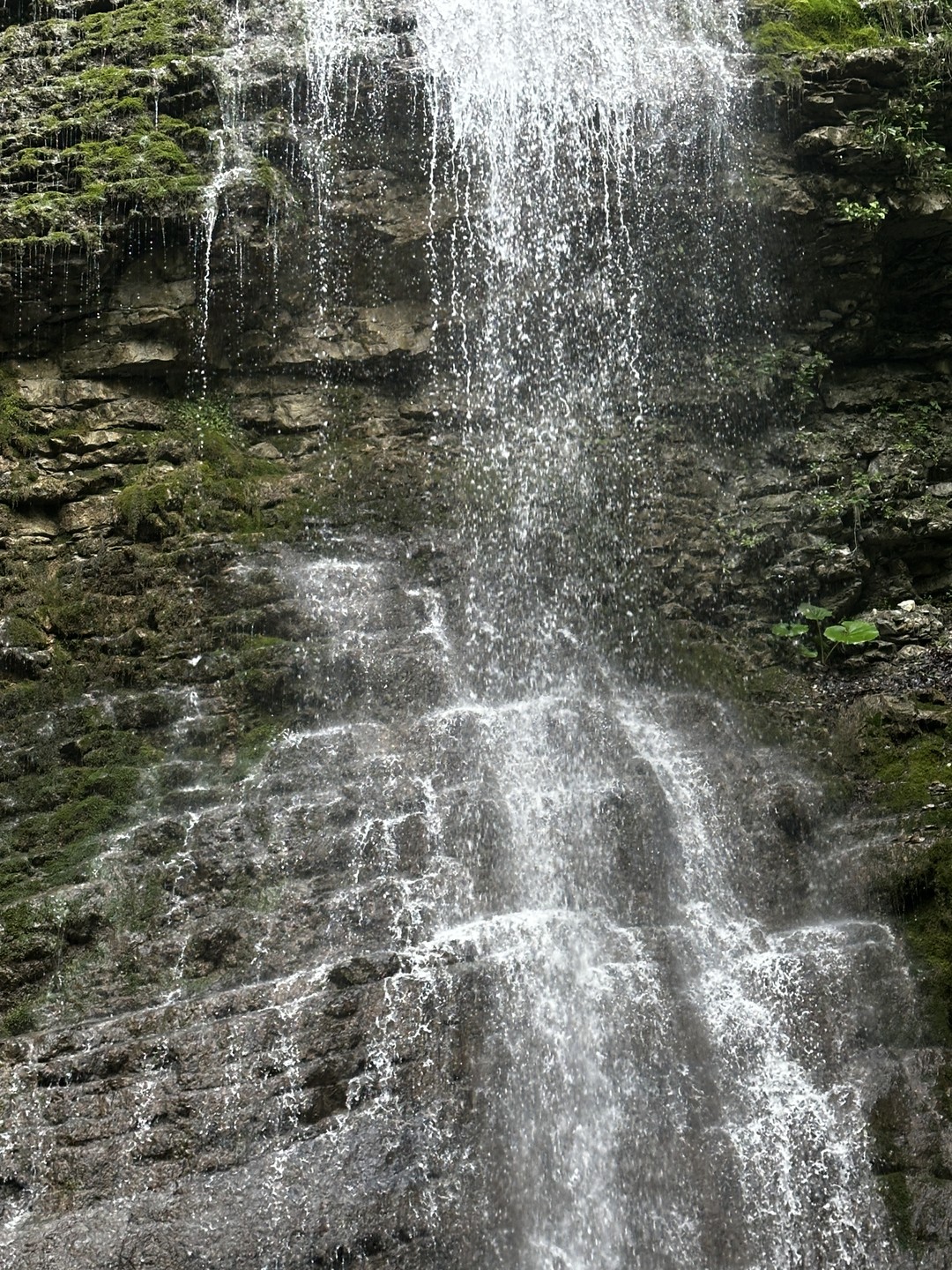 Аргунское ущелье: по дороге древних караванов (Наталья)