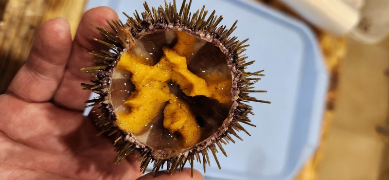 Виды Из Мурманска в Териберку — посёлок на краю земли