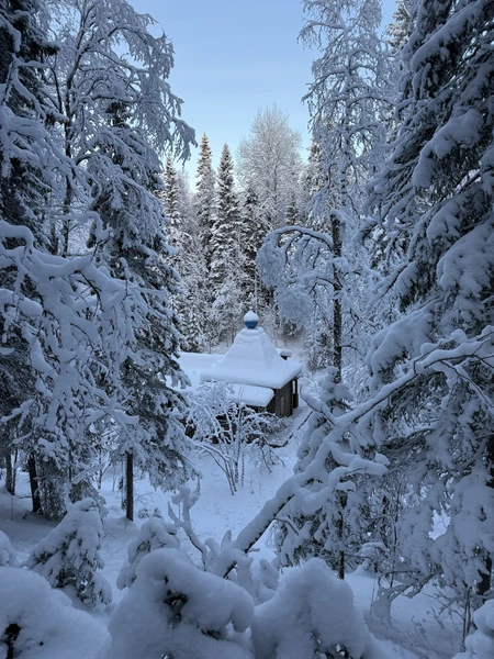 Замечательная экскурсия! Не первый раз пользуемся услугами гида Сергея. Были и летом, и зимой. Сергей великолепный