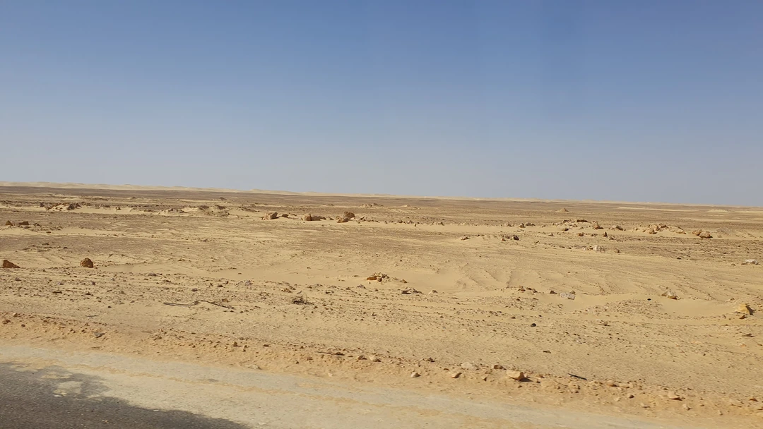 Великолепная экскурсия! Море восхитительных эмоций от увиденного и от общения с отличными людьми! Понравилось разнообразие посещенных