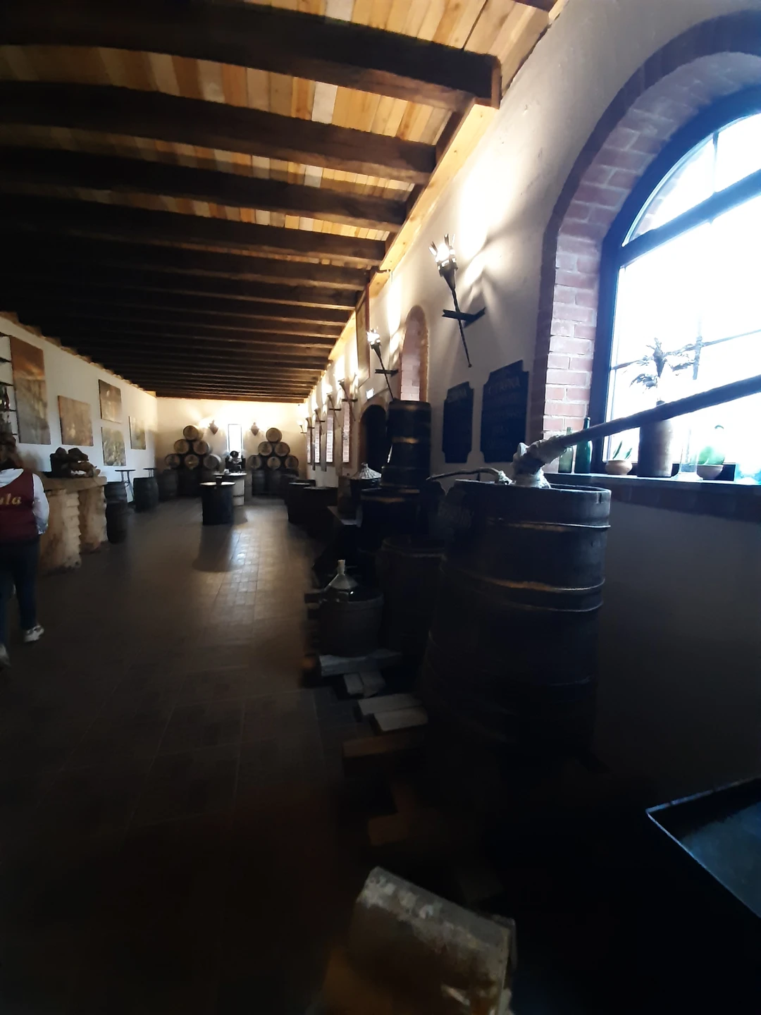 Очень неожиданно, интересно, весело и познавательно. Что ещё может быть нужно для хорошего времяпрепровождения. Экскурсия подойдёт