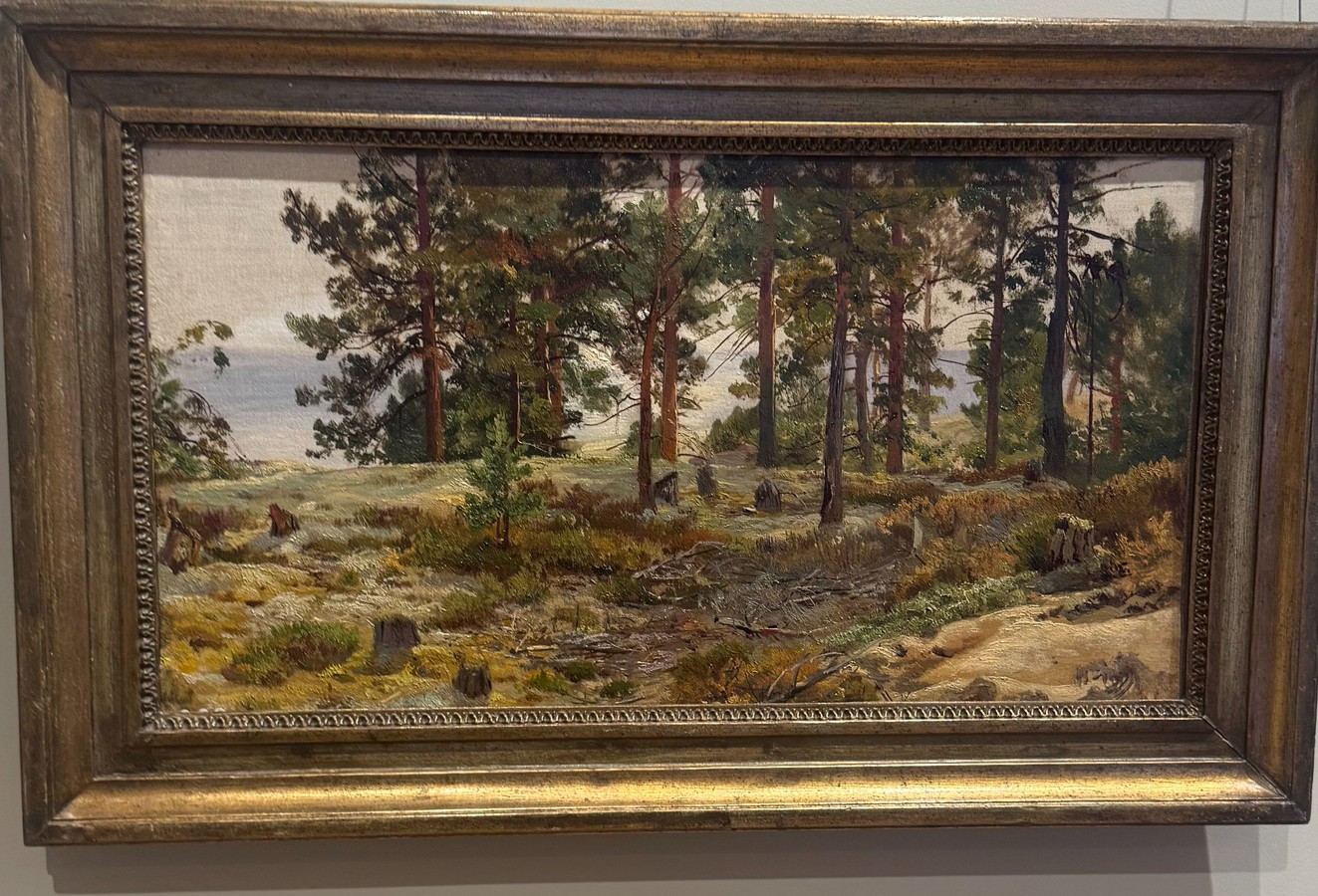 «Иван Шишкин»: ретроспектива в корпусе Бенуа