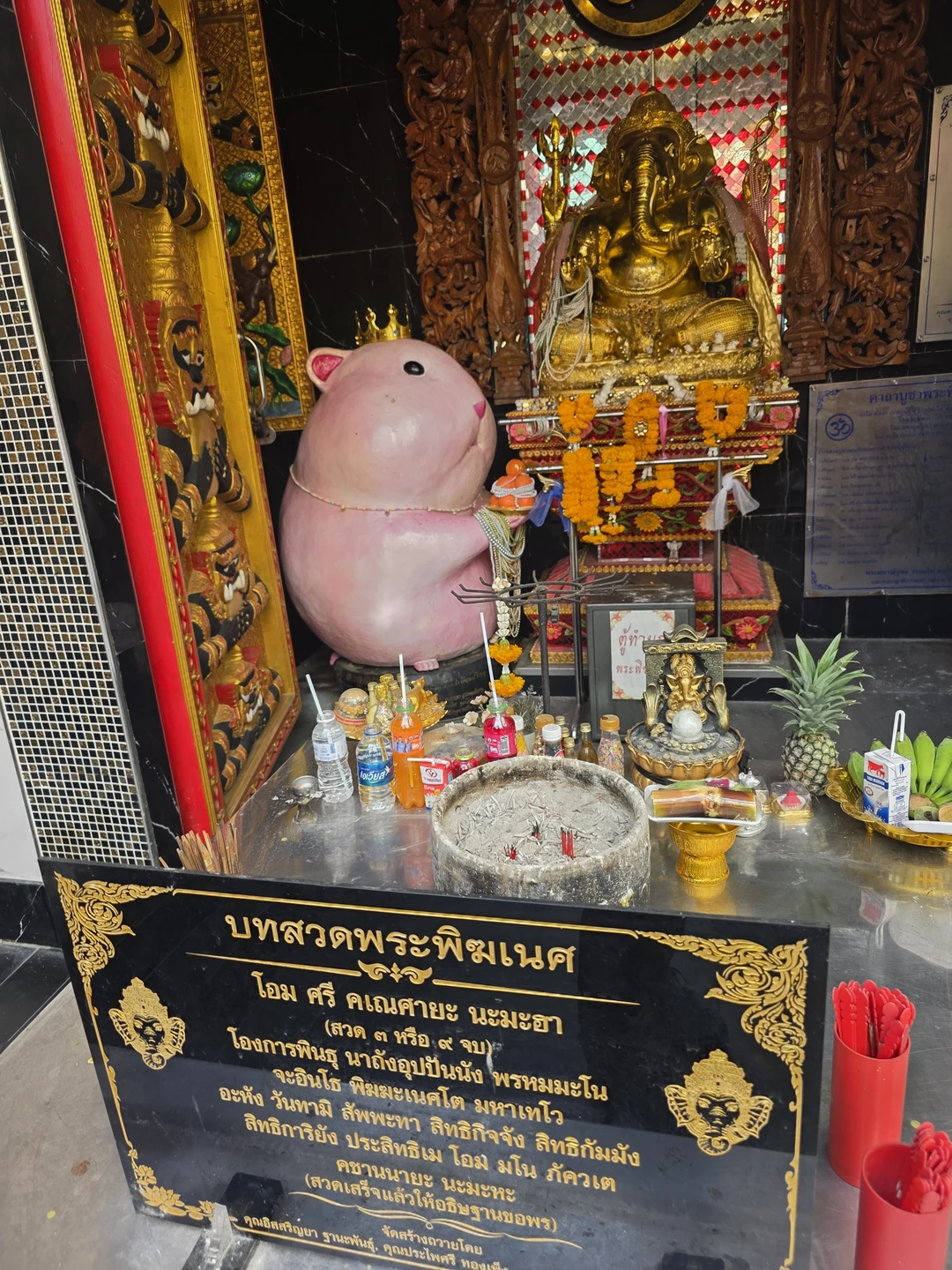 Спасибо Яне за приятную компанию и интересную беседу