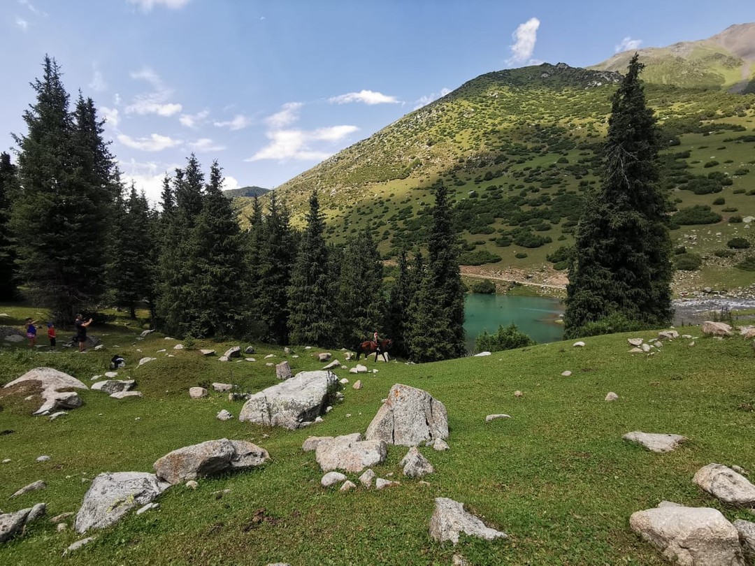 Дмитрий отличный гид с навыками профессионального водителя в горной, сложно проходимой местности. Ездили с ребенком 1,5