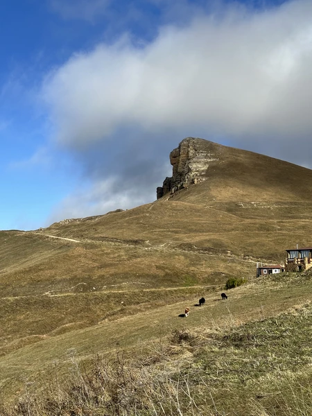 Отличная экскурсия: программа, организация все на высоте. Экскурсия в небольшой группе, есть возможность спокойно осмотреть все