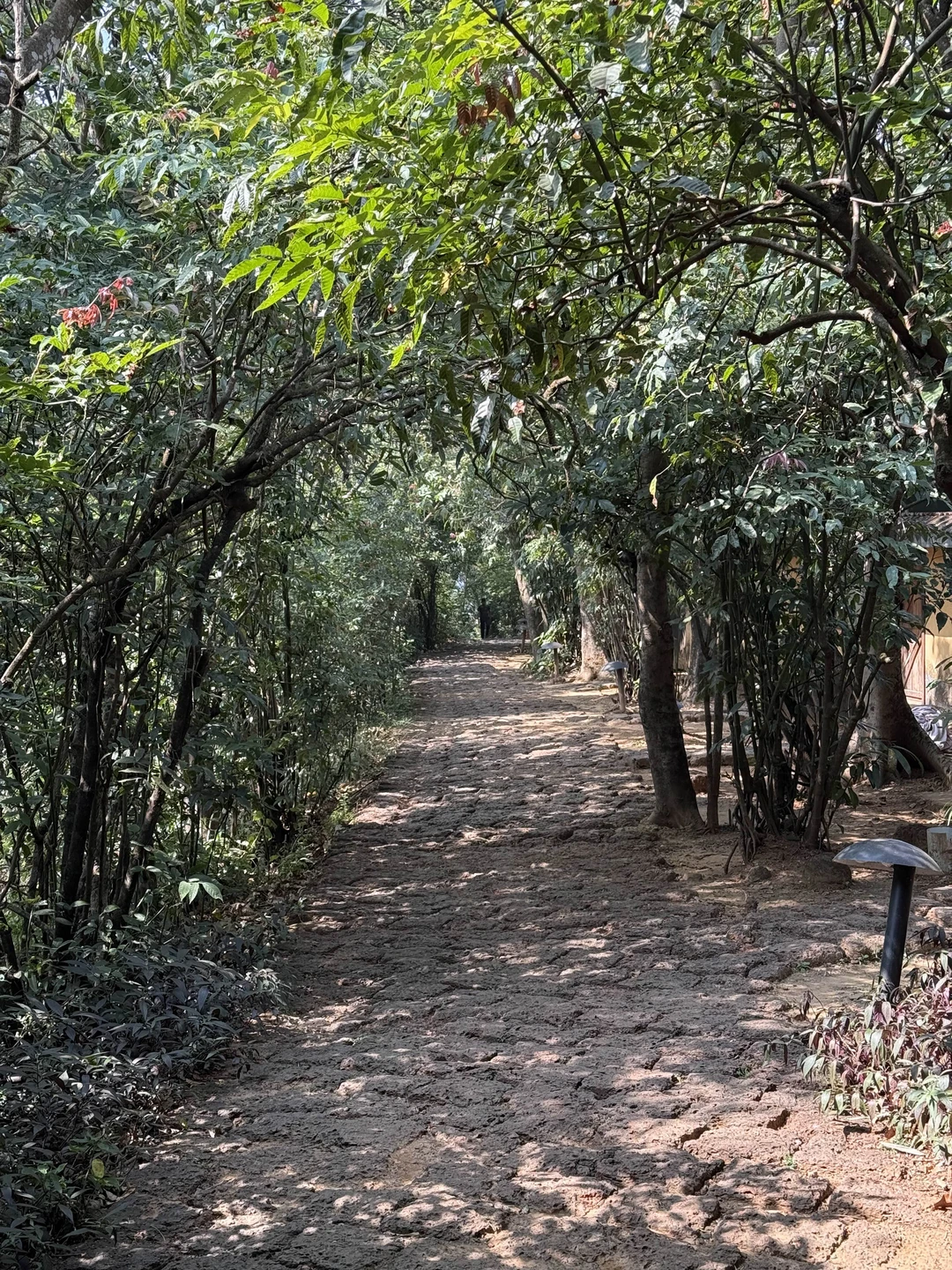 Отдыхала 2 ночи в эко коттедже (25-27.12.25)