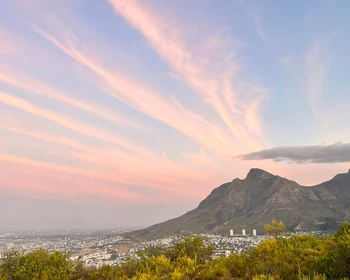 Ботанический сад, колорит Кейптауна и прогулка на яхте во время заката