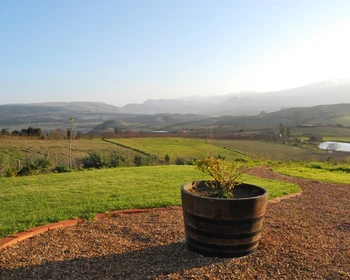 Долина Элджин: винодельни и невероятные виды