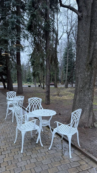 Хочу от всей души поблагодарить нашего гида за невероятную экскурсию по историческому центру Владикавказа!