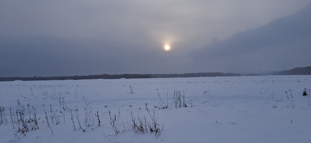 Большое спасибо за великолепную экскурсию и спасение нас в последний момент 31 декабря от скучного утра!