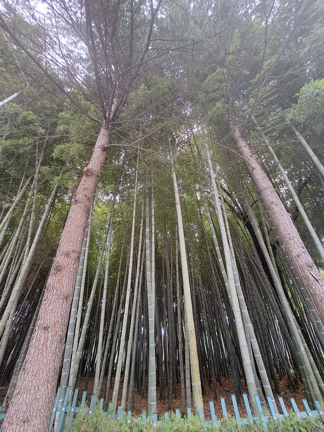 Александр прекрасно провел экскурсию. Его речь грамотная, подача информации простая и понятная. Видно, что человек обладает