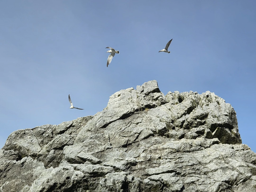 Тот самый маяк Анива (Оксана)