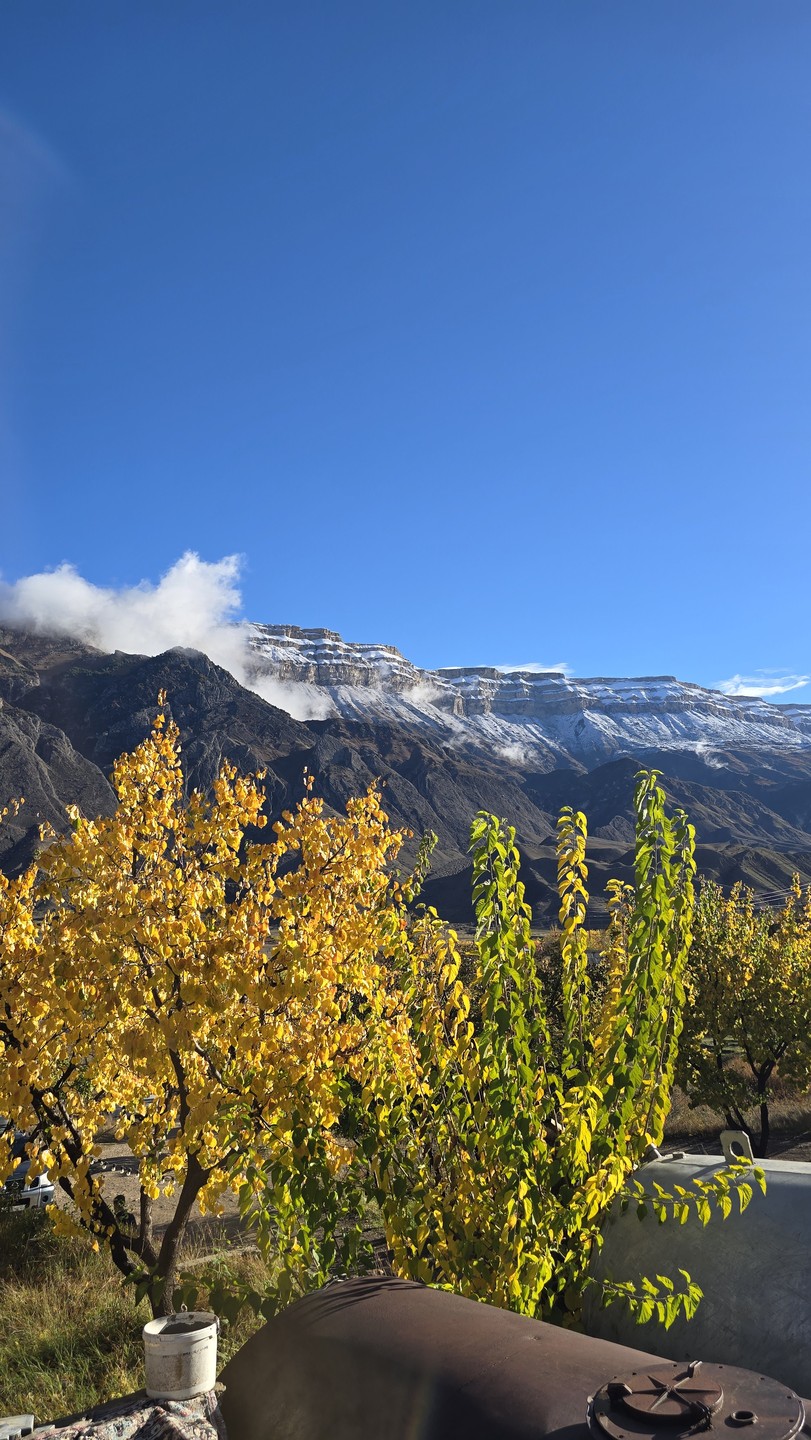 Виды и вкусы Дагестана: топовые локации и национальная кухня (Ольга)