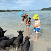 Фото отзыва 3: экскурсия "Индивидуальная морская прогулка со снорклингом и остановкой на Pig Island"