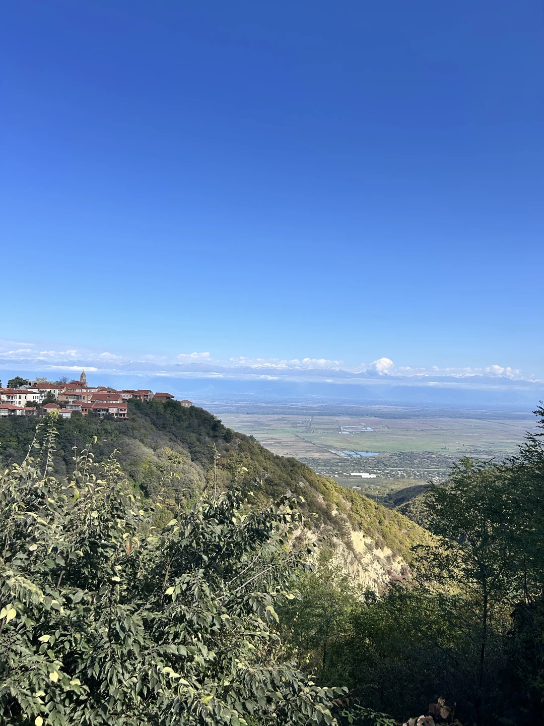 Велисцихе: история кахетинского виноделия (Ольга)