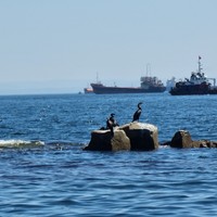 Фото отзыва 3: экскурсия "Морская прогулка на водном велосипеде в мини-группе"
