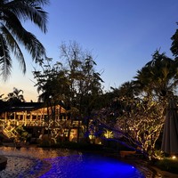 Фото отзыва 3: экскурсия "Сказочный мир Аватара и деревня слонов на Пхукете"