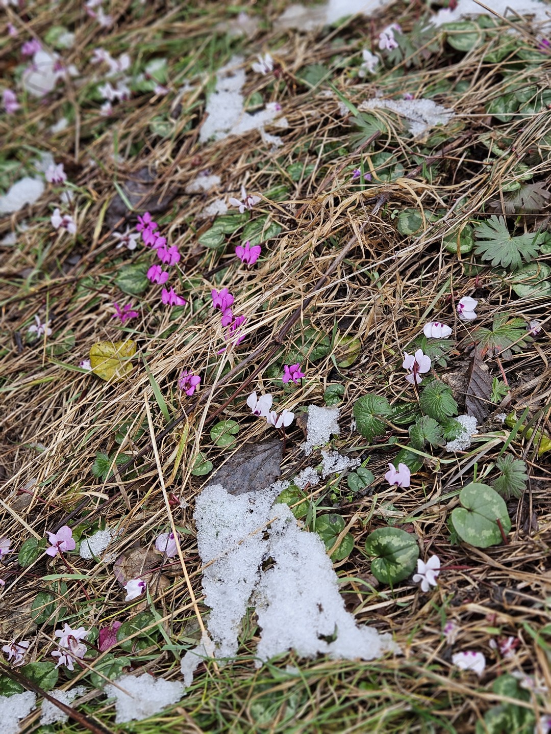 Получилось прекрасное персональное путешествие на комфортабельном вместительном автомобиле. Очень насыщенно, и по содержанию, и по полученным