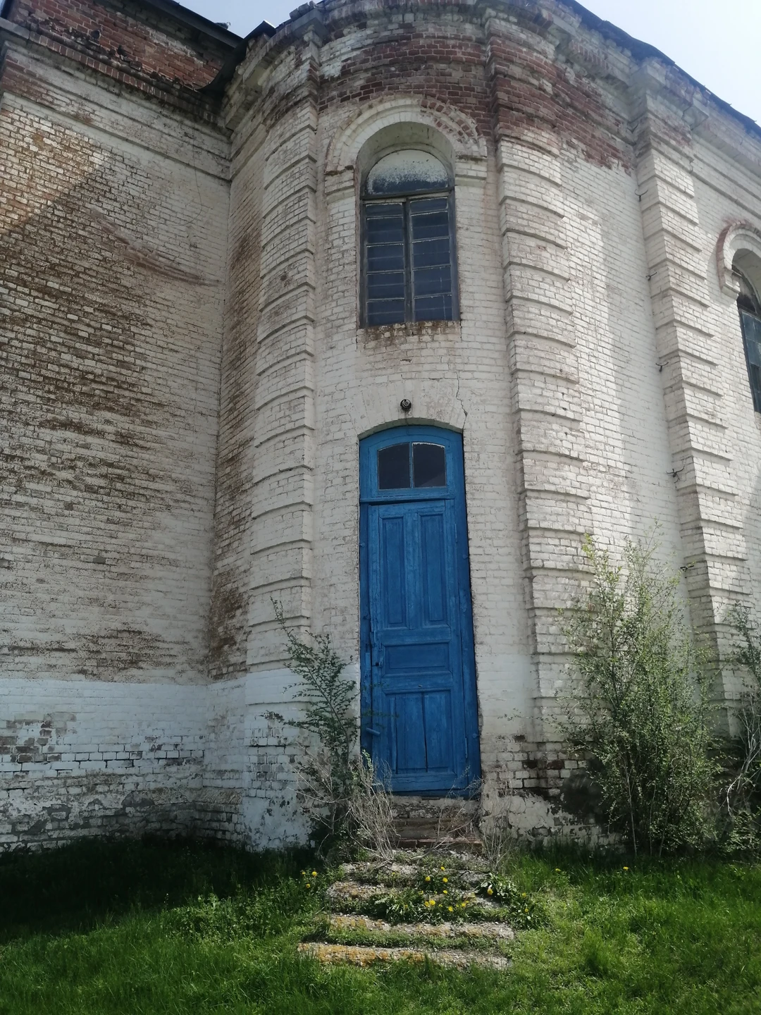 Из Саратова в Шефер, Баронск и Цюрих (Альфия)