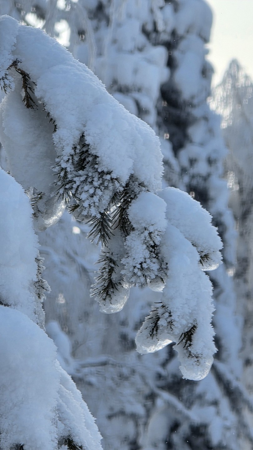 Выбирала между данной экскурсией и поездкой на Ветлан и Полюд. Юрий очень подробно рассказал про обе,