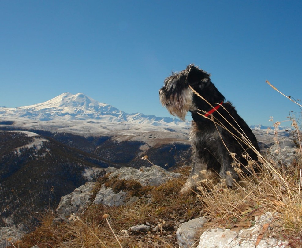 Из всех экскурсий по парку выбрали прогулку с Верой и не ошиблись! Получили массу впечатлений! Не