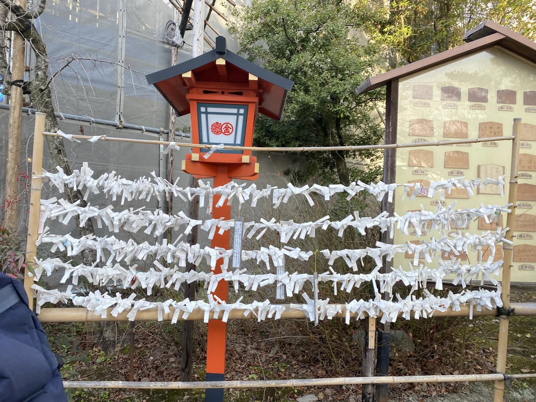 Это был великолепный день в Киото! Елена подстроила всю программу осмотра города под наши возможности (у