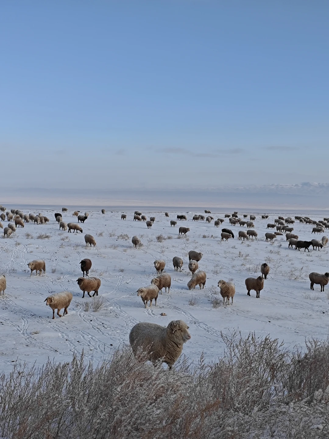 Очень понравилась поездка! Каньон поразил своим величием. Проходя по каньону мы видели то замки, то леса