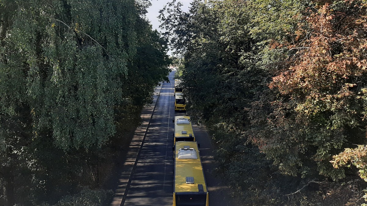 Ярославль в камне и дереве (10/15)