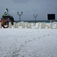 Фото отзыва 4: экскурсия "В гости к ушастым тюленям: трансфер из Южно-Сахалинска"