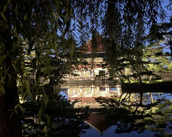 Возвращение в Сеул и свободное время