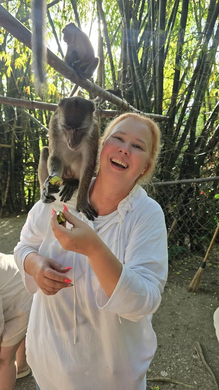 Три природных чуда Себу за один день