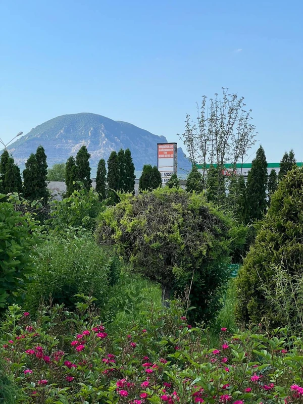 Виды Из Кисловодска — в «Зелёный квартал» Иноземцево