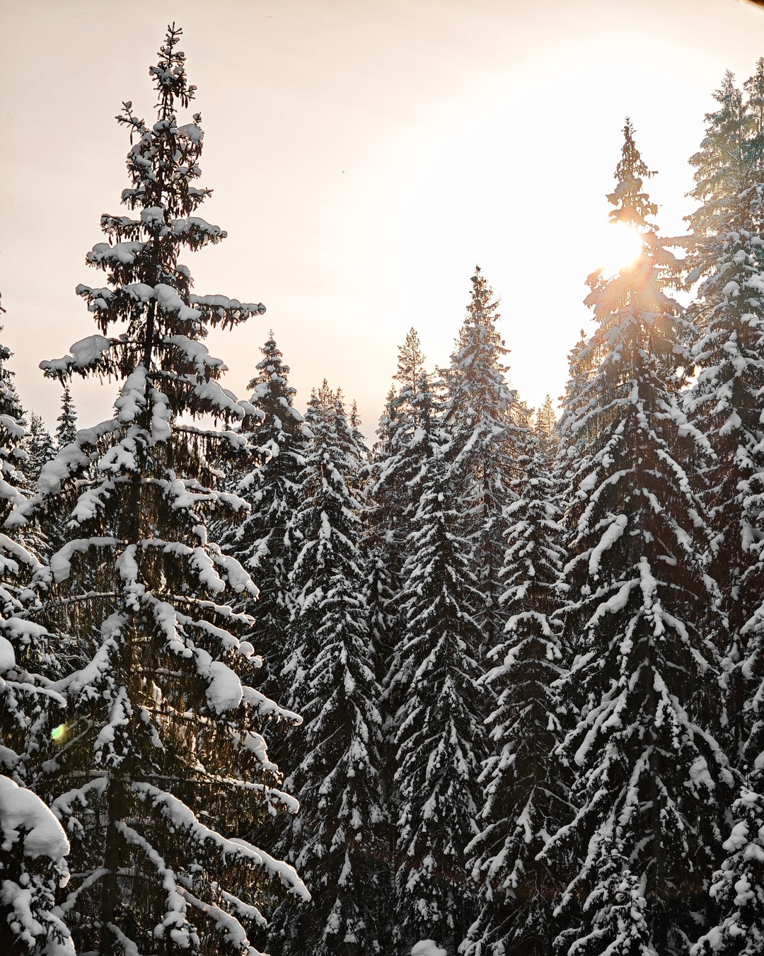 Карелия из Санкт-Петербурга: водопады, Рускеала и тот самый ретропоезд (Владимир)