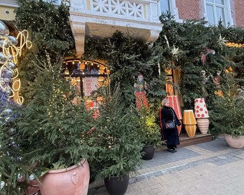 Куршская коса, Танцующий лес, смотровая