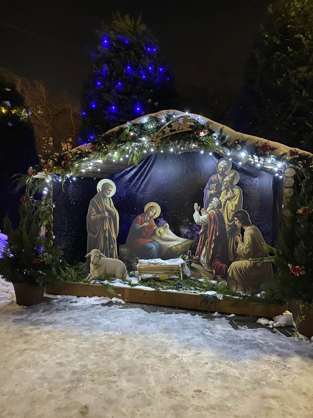 Прекрасная экскурсия по Рождественскому Зелиноградску! Побывали в сказке!