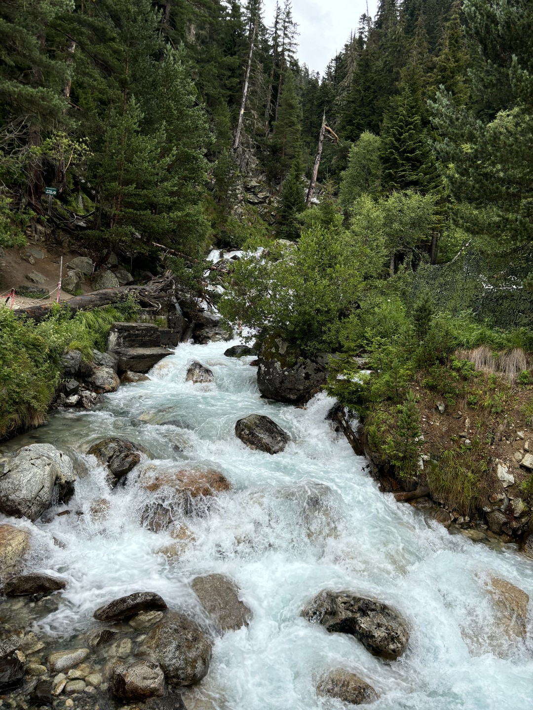 Отличная экскурсия, после которой остались только положительные эмоции, даже несмотря на дождь, который шел почти весь