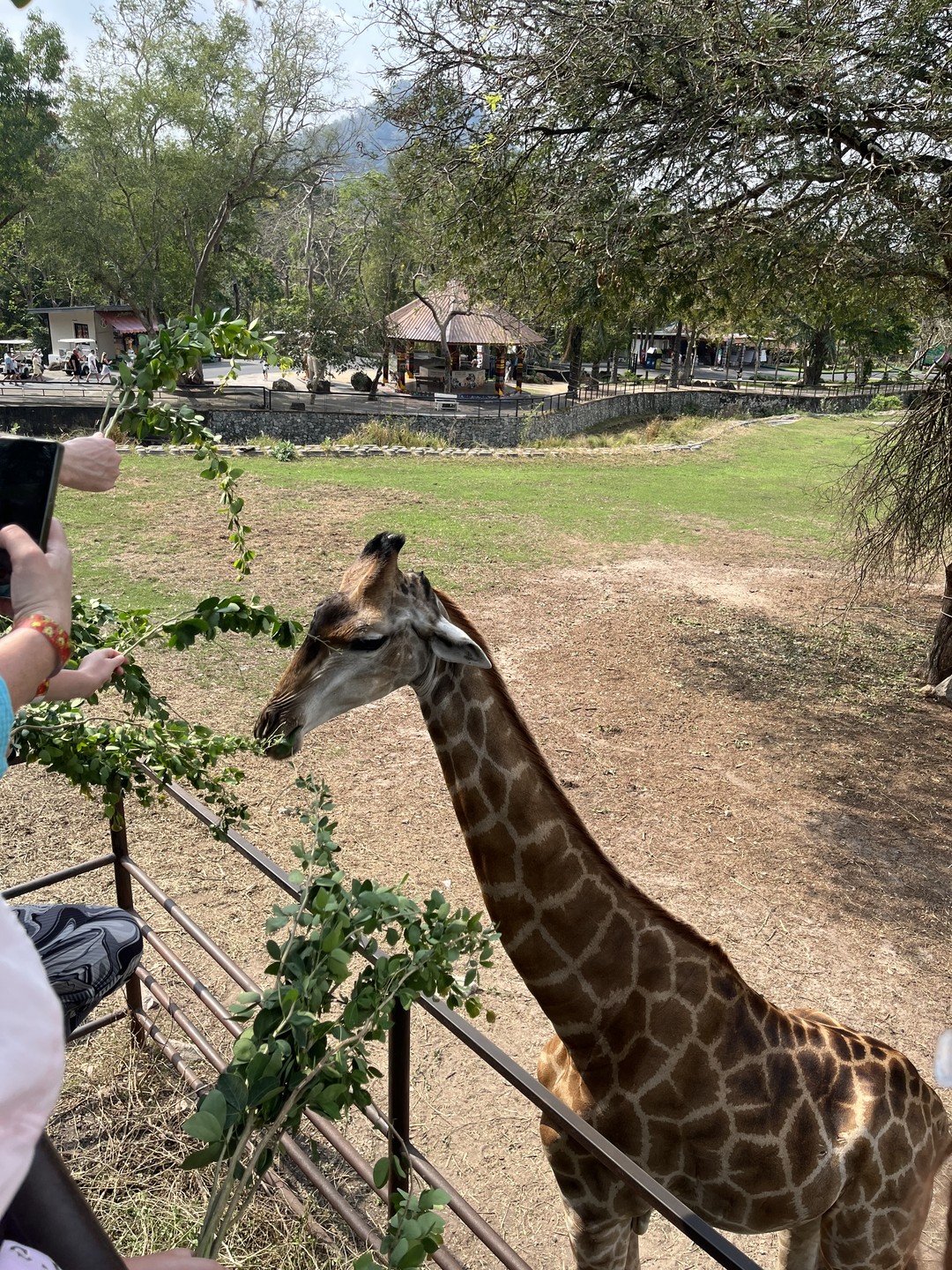 Спасибо за экскурсию по зоопарку. Очень интересно и увлекательно