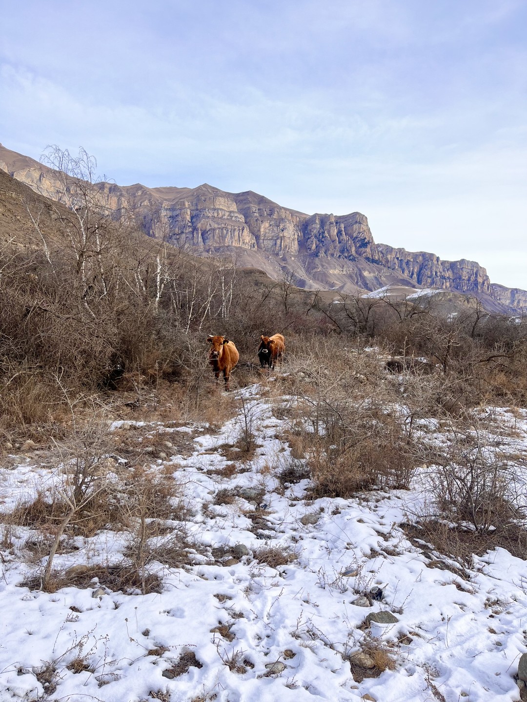 Это была самая волшебная поездка. Очень камерно, как будто со старыми друзьями:) Завтракали и обедали в