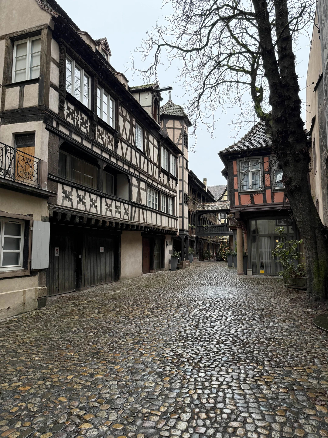 Мы получили истинное удовольствие от экскурсии со Светланой. Страсбург открылся с совершенно другой стороны и навсегда останется в моем сердце