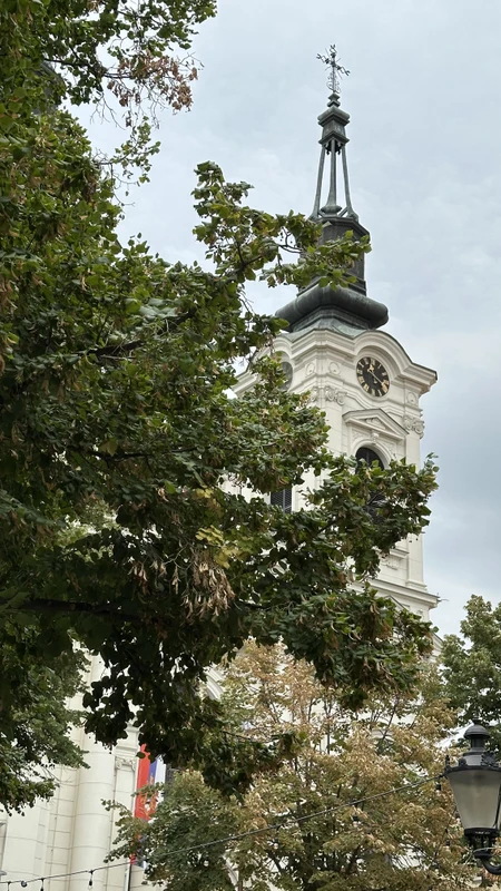 Сремски Карловцы - самый обаятельный город Сербии (из Белграда)