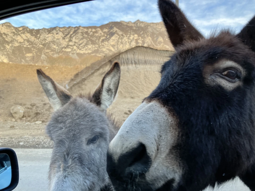 Нам повезло и наша «групповая» экскурсия оказалась индивидуальной - только для нашей семьи. Да ещё и