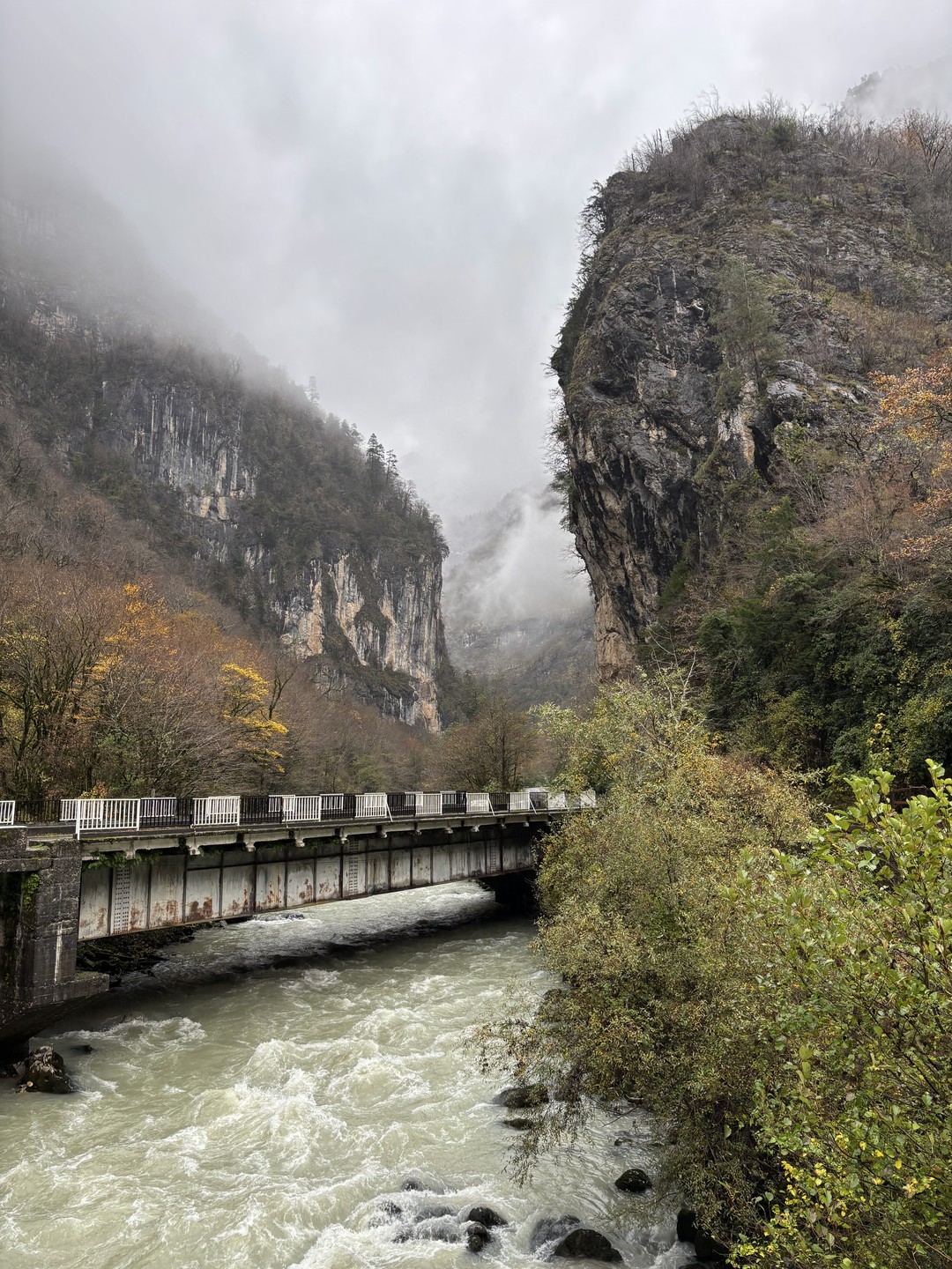 Гид Юрий - прекрасный попутчик. Все нам рассказал, показал, отвечал на самые разнообразные вопросы об Абхазии