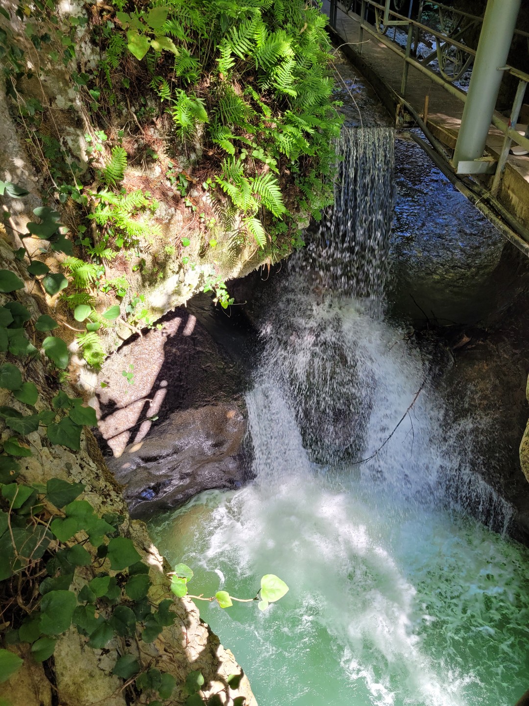 Замечательно провели день в Абхазии! были и на термах и в Сухум и в ущелье и
